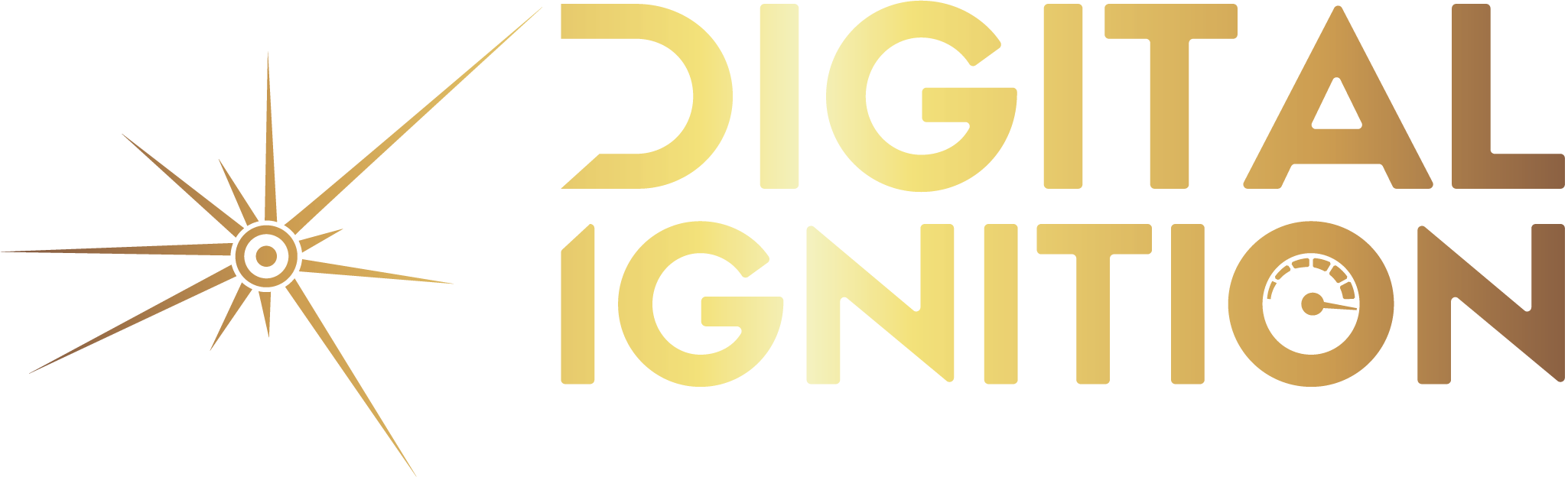Image du logo de Digital Ignition